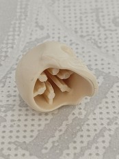 30092610_b