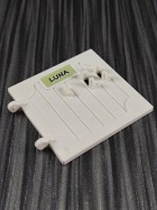 30241332_luna