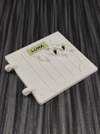 30241332_luna