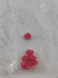 30250010_OVP