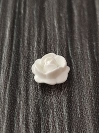 30250740