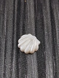 30513380_2
