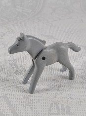 50003047_fg